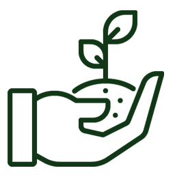 citricos