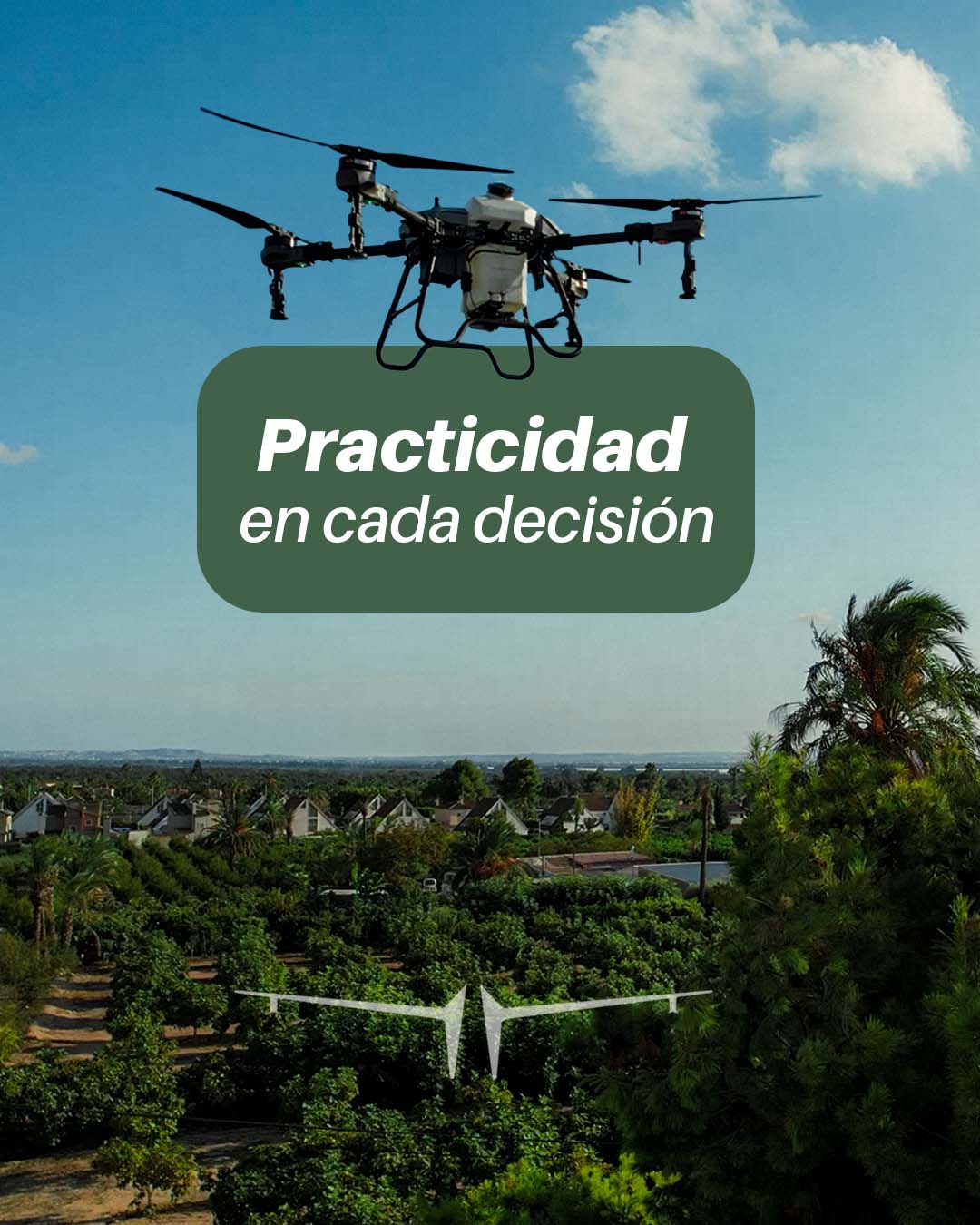 practicidad en cada decision